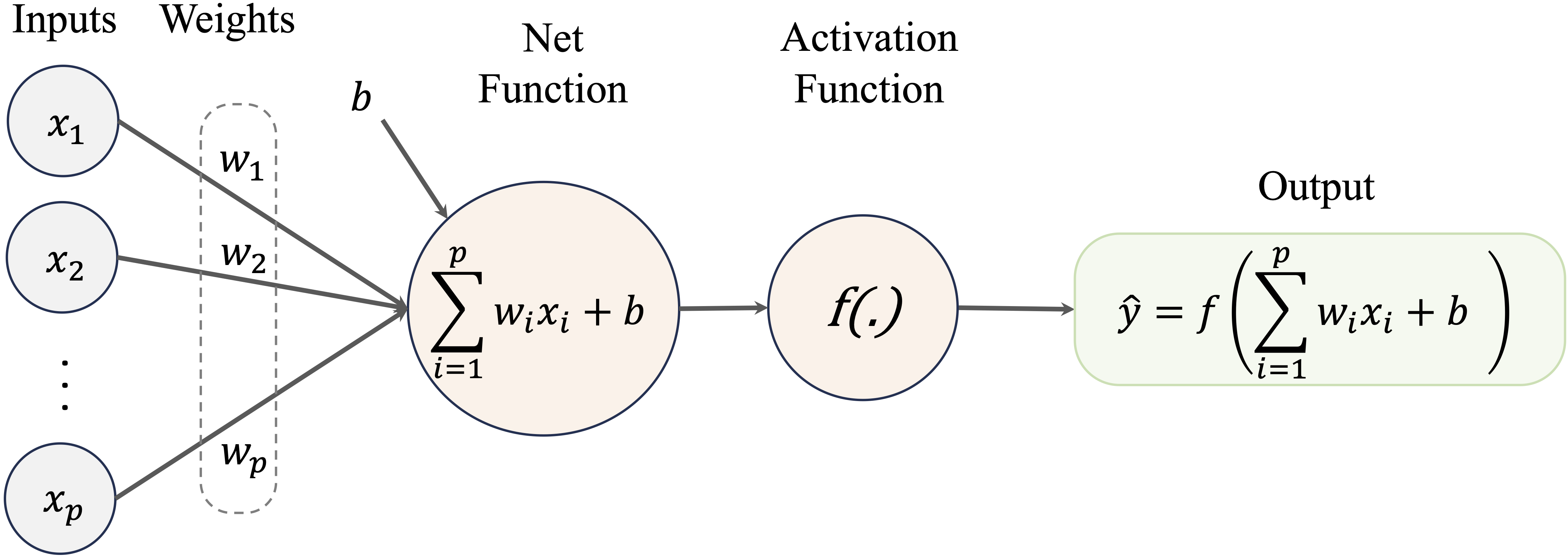 Illustration of an artificial neuron, designed to emulate the structure and function of a biological neuron in a simplified way.