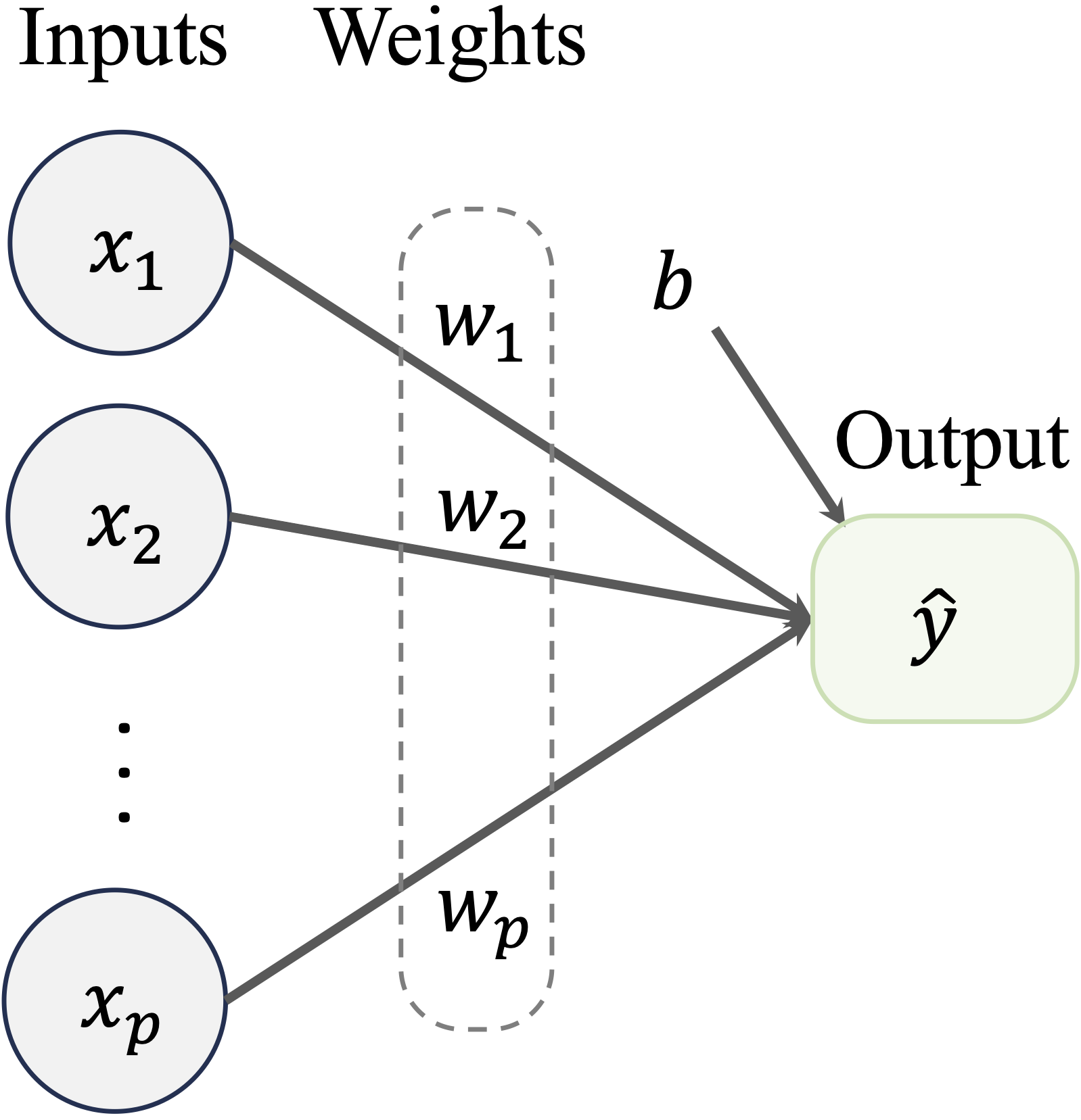 A graphical representation of a regression model: input features and predictions are shown as nodes, with the coefficients represented as connections between the nodes.